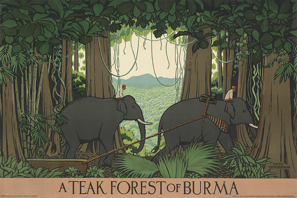 a teak forest of burma