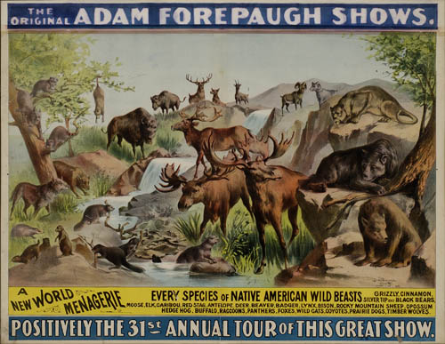 The, Original, Adam Forepaugh Shows, A New World Menagerie Every Species Of Native American Wild Beasts, Positively The 31st Annual Tour Of This Great Show.