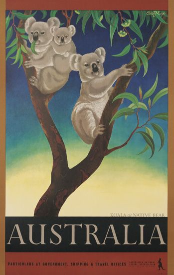 Koala Or Native Bear, Australia, Pabticulans At Suvennment Shipping & Thavel Dffices