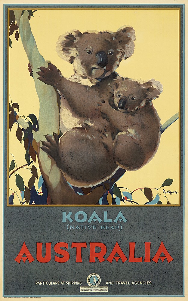 Koala, (native bear) , Australia, Particulars At Shipping and travel agencies
