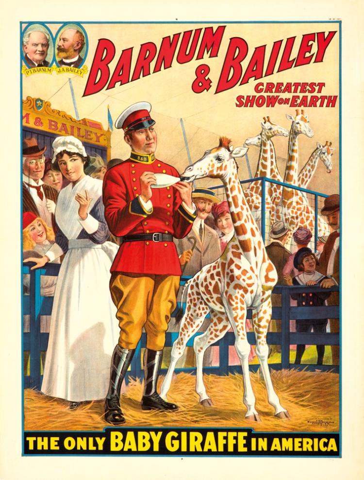 Barnum & Bailey Greatest, Show On Earth, The Only Baby Giraffe In America