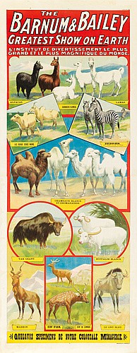 The, Barnum & Bailey, Greatest Show On Earth, Linstitut De Divertisse Ment Plus, Grand Et Le Plus Magnisique Du Monde, Grand congres Dz curiosites Mumaines, Viyantes Et Etranges Caprices De La Nature.