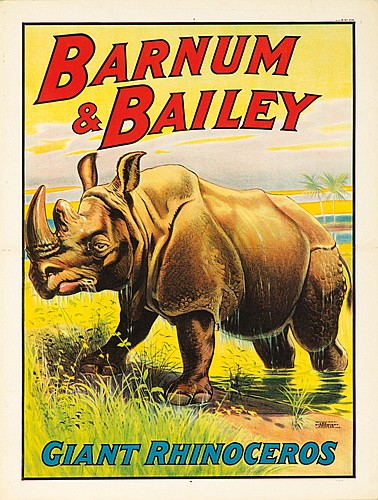 Barnum & Bailey, Giant Rhinoceros