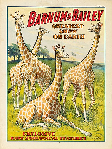 barnum-bailey-rare-zoological-features