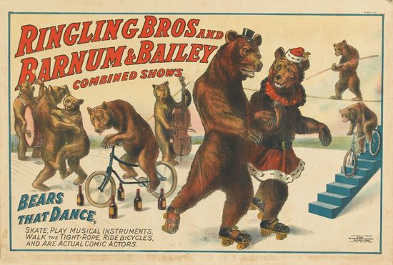 Ringling Bros And Barnum & Bailey Combined Shows Bears That Dance, Skate Play Musical Instruments Walk The Tight-Rope Bicycles And Are Actual Comic Actors.