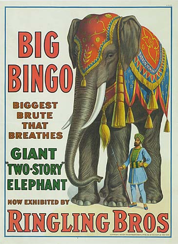 big-bingo-biggest-brute-that-breathes
