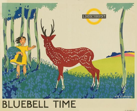 Bluebell Time