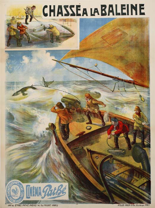 Chasse A La Baleine, Cinema Patbe