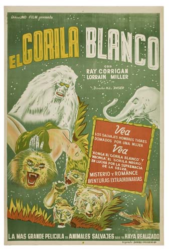 El Gorila Blanco