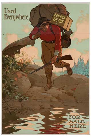 Used, Everywhere Ferry’s, Seeds, For, Sale, Here