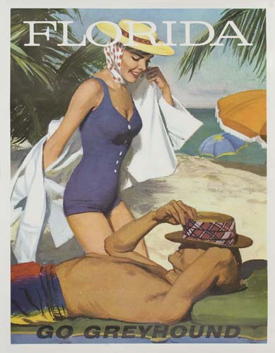 florida-new-york-go-greyhound