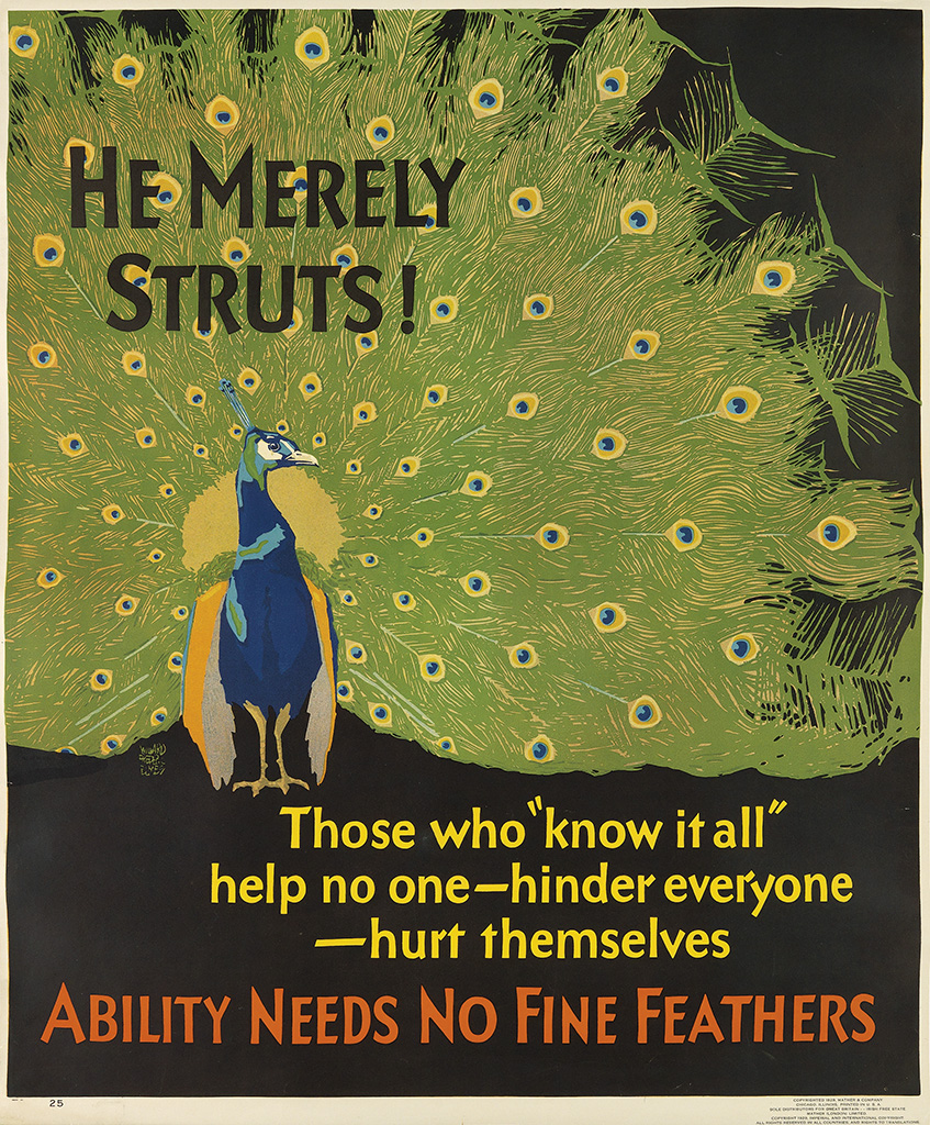 he merely struts, those who know it all, help no one hinder everyone, hurt themselves, ability needs no fine feathers