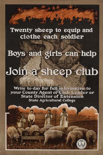 Twenty Sheep To Equtip And, Clothe Each Soldier, Boys And Girls Can Help, Join A Sheep Club, Write To.day For Full Information To, Your County Agent Or Club Leader Or, State Director Of Extension, State Agriculrtural Collge