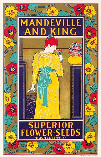 Mandeville and King, woman in yellow, flowered border, Superior Flower Seeds