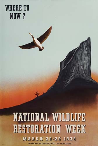 Where To Now? National Wildlife Restoration Week, 1938