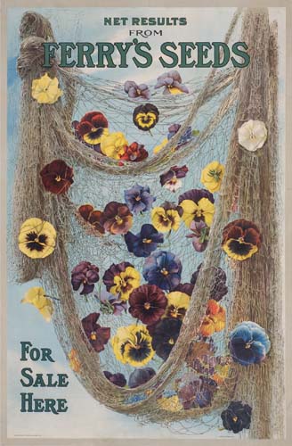 Net Results from Ferry’s Seeds, blue poster, flowers