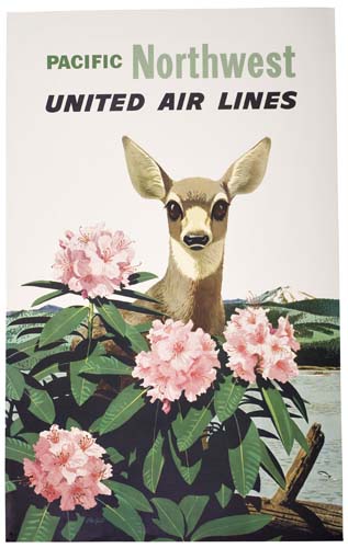 Pacific Northwest, United Air Lines, deer