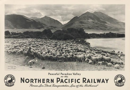 Northern Pacific Railway, Peaceful Paradise Valley, flock