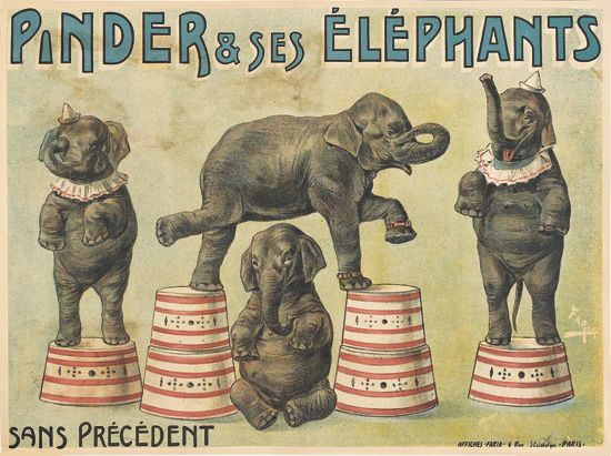 Pinder and Ses Elephants Sans Precedent, elephants perform