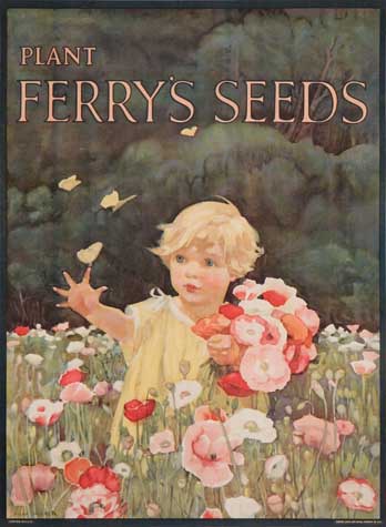 Plant Ferry’s Seeds, little girl picks flowers