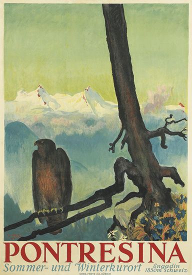 Pontresina Sommer und Winterkurort, bird