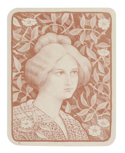 Woman with an updo, nature, brown and white poster