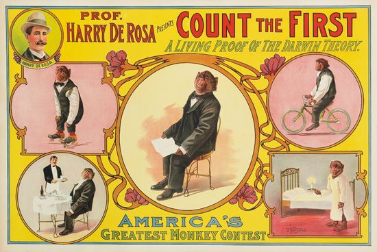 Prof. Harry de Rosa, yellow poster, money performer