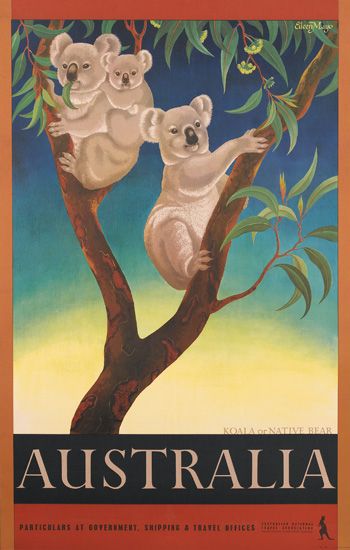 Australia, koalas