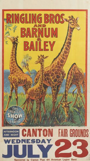Ringling Bros and Barnum and Bailey, giraffes, Wednesday July 23
