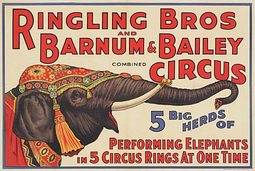 Ringling Bros and Barnum and Bailey Combined Circus 5 Big Herds of Performing Elephants