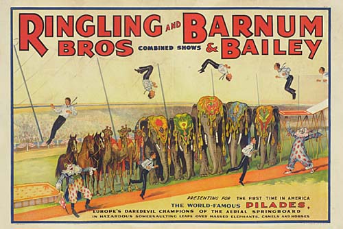 Ringling Bros and Barnum and Bailey, Pilades, elephants