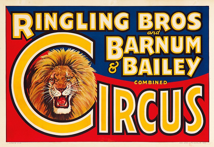 Ringling Bros and Barnum and Bailey Combined Circus, lion