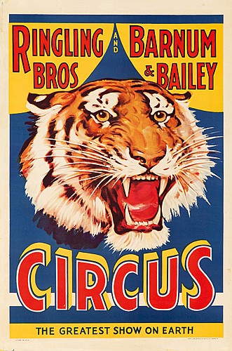 Ringling Bros and Barnum and Bailey, tiger, Circus