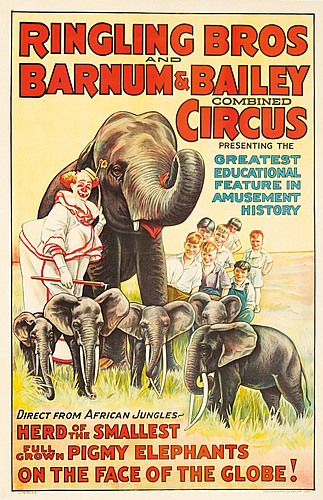 Ringling Bros and Barnum and Bailey Combined Circus Herd of the Smallest, elephants