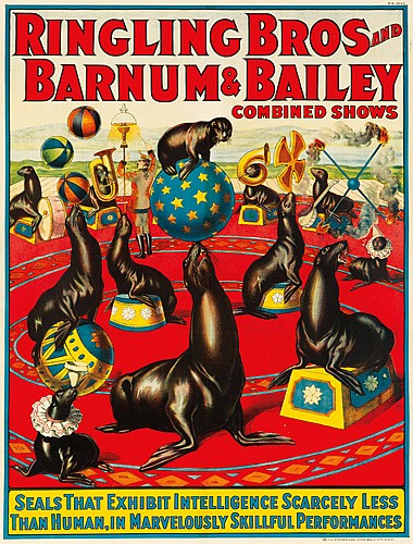 Ringling Bros and Barnum and Bailey, Seals that Exhibit Intelligence