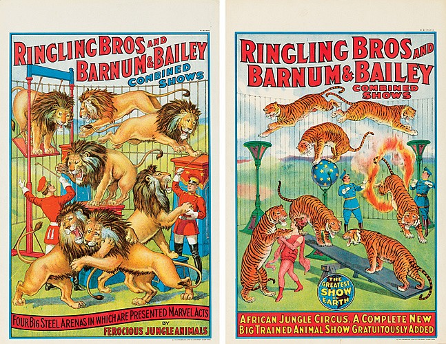 Ringling Bros and Barnum and Bailey, Ferocious Jungle Animals, lions and tigers