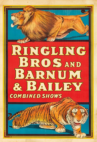 Ringling Bros and Barnum and Bailey, tiger and lion