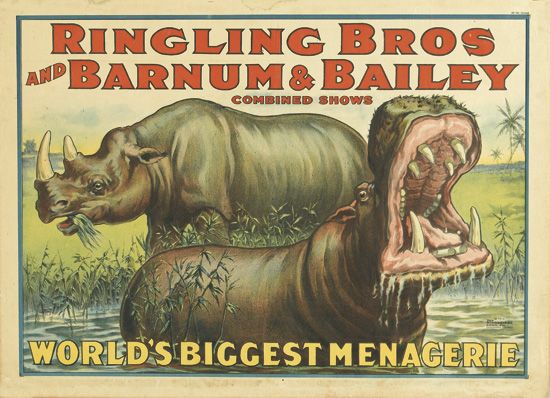 Ringling Bros and Barnum and Bailey World’s Biggest Menagerie, hippos and rhinos