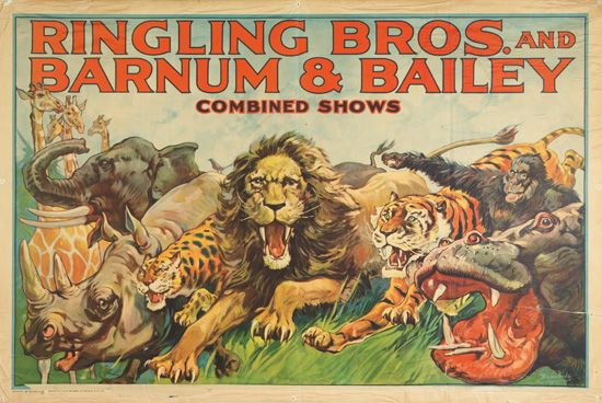 Ringling Bros and Barnum and Bailey Combined shows, animals roaring