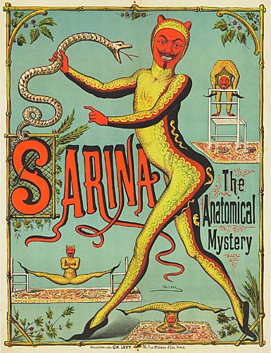 Sarina The Anatomical Mystery, man in green