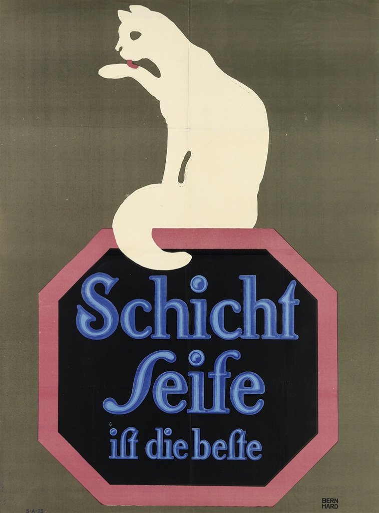 Schicht Seife ift die Beste, white cat