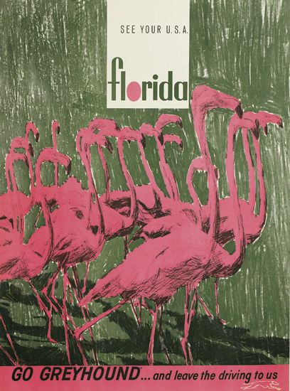 See Your USA Florida, flamingoes