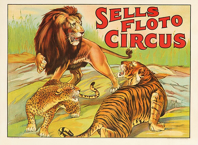 Sells-Floto Circus, lion and tigers