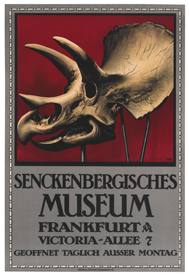 Senckenbergisches Museum, animal skull