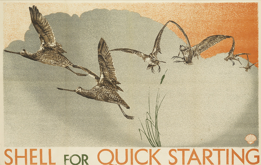 Shell for Quick Starting, orange, geese