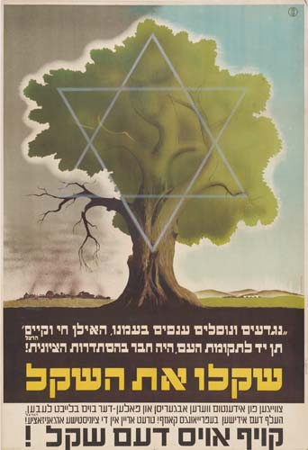 Star of David, tree