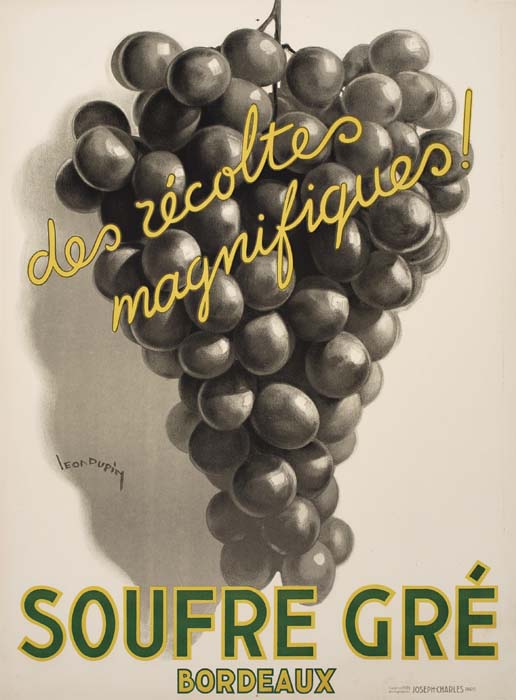 Soufre Gre, grapes