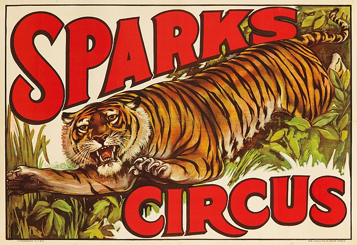 Sparks Circus, tiger
