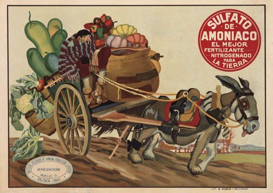 Sulfato de Amoniaco, Donkey pulls cart
