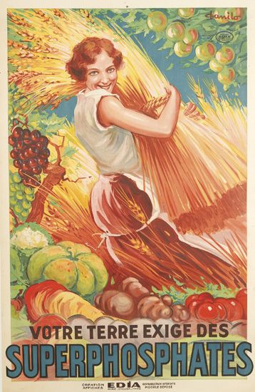 Superphosphates Votre Terre, woman gathers wheat
